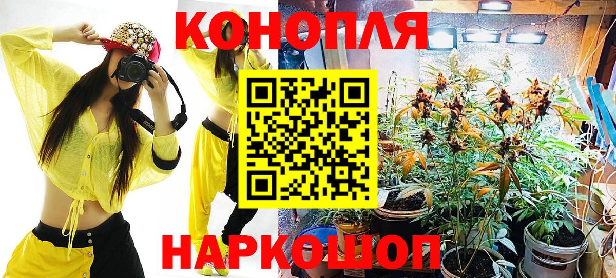 Каннабис ГИДРОПОН Бугуруслан